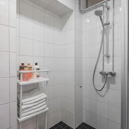 Historic Elegant Apartament