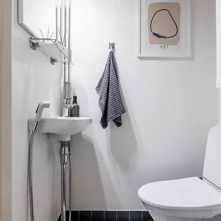 Apartament Historic Elegant Helsinki